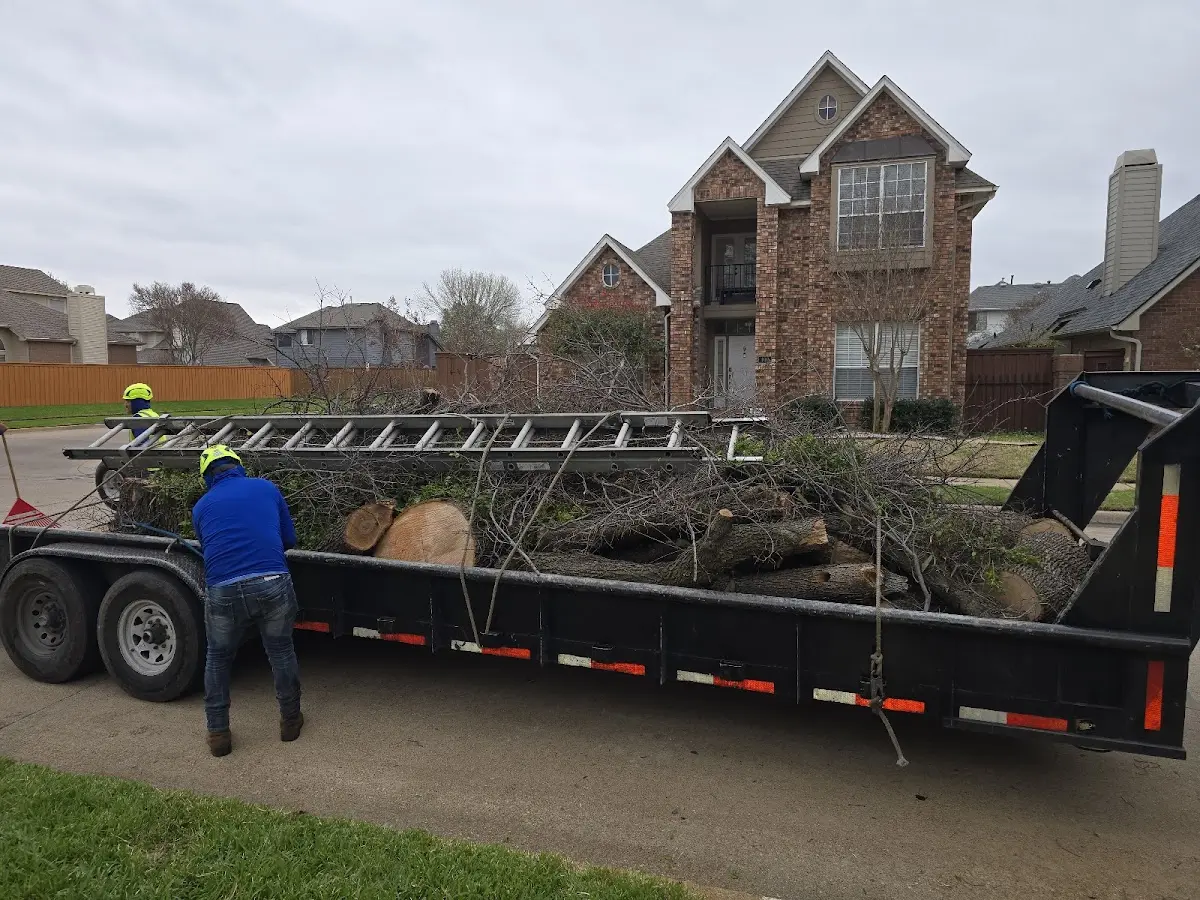 Expert Lot Clearing with proper safety equipment in Castalia